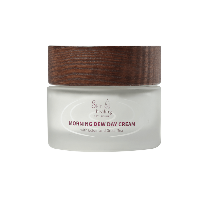 SkinHealing Morning Dew Day Cream 50ml - Jolifill.de